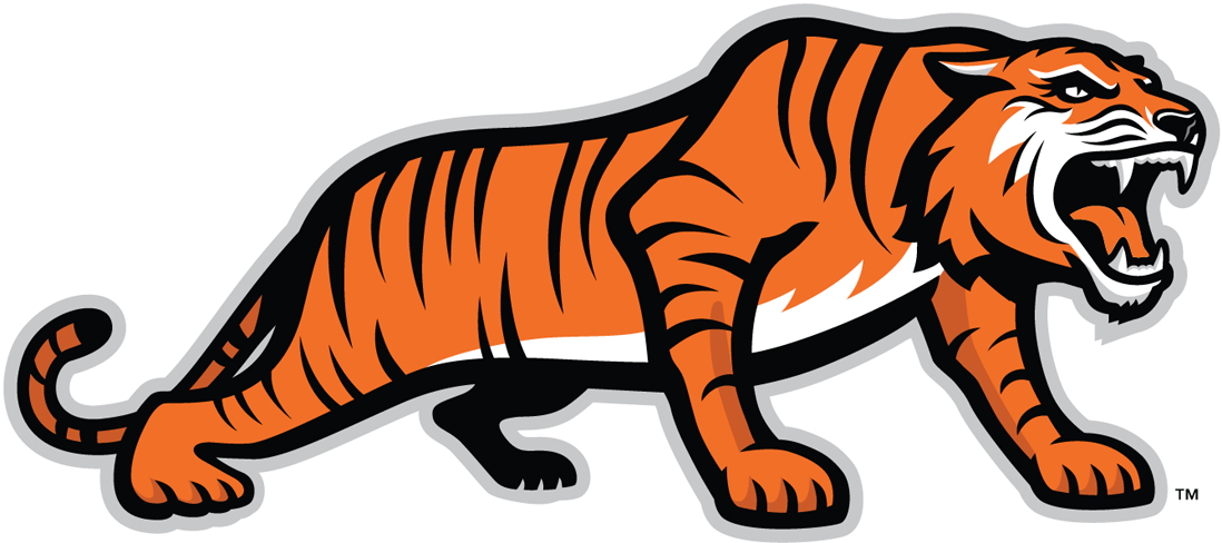 RIT Tigers 2004-Pres Alternate Logo v3 iron on transfers for clothing